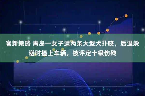客新策略 青岛一女子遭两条大型犬扑咬，后退躲避时撞上车辆，被评定十级伤残